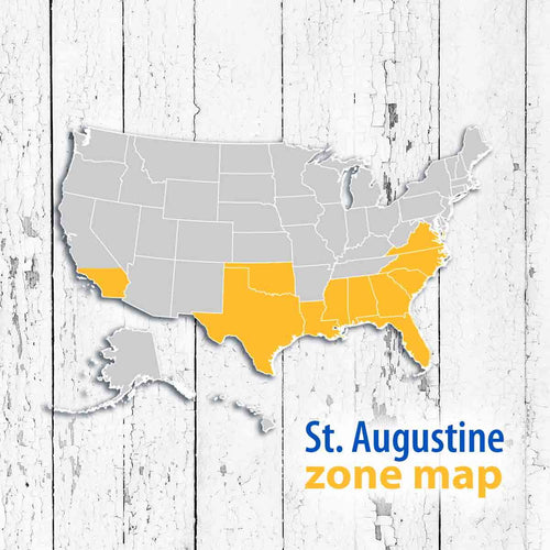 St. Augustine 500 Sq. Ft. Sod Pallet