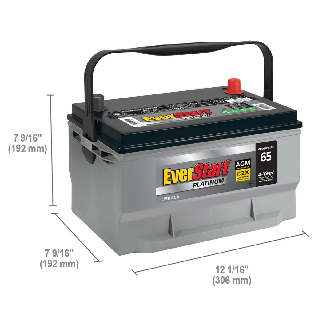 Everstart Platinum AGM Automotive Battery, Group Size 65 12 Volt, 750 CCA