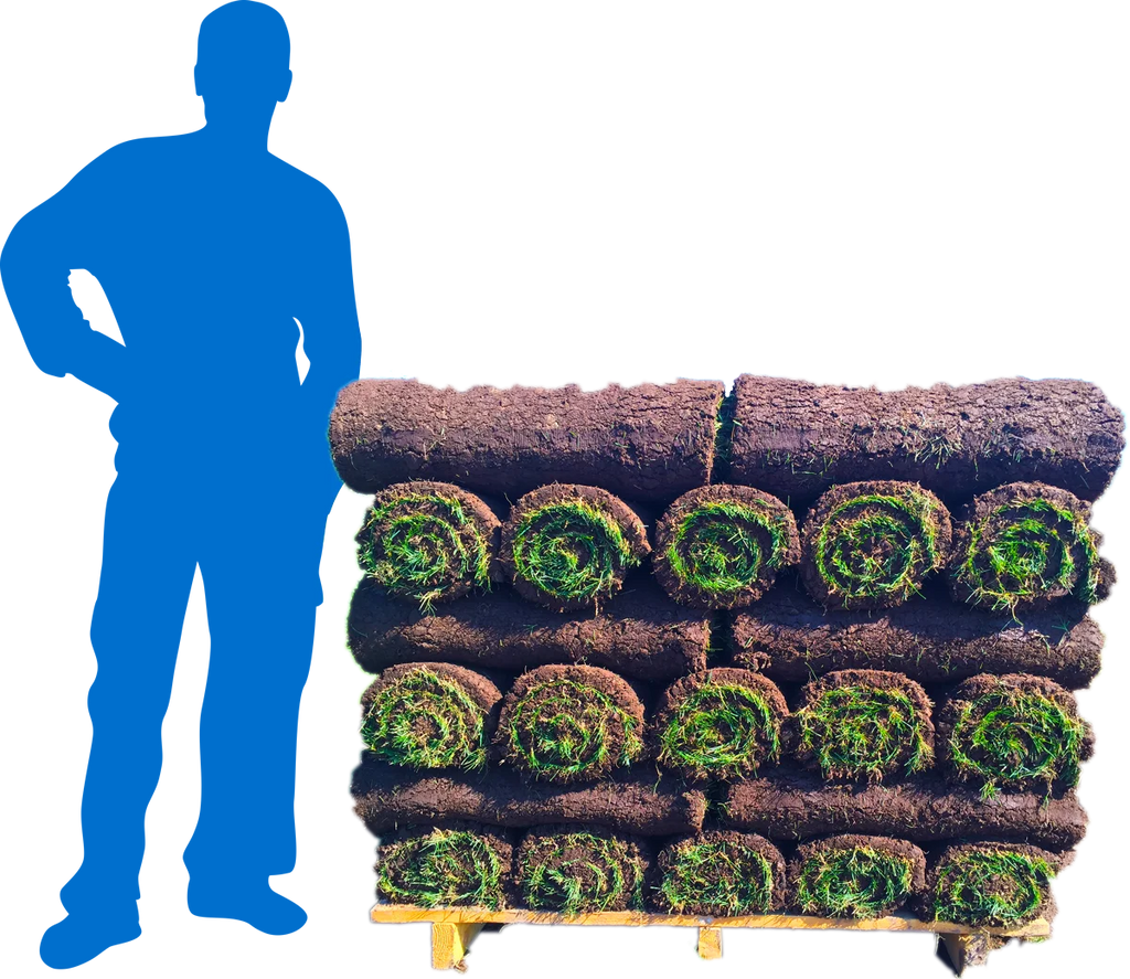 Fescue 500 Sq. Ft. Sod Pallet