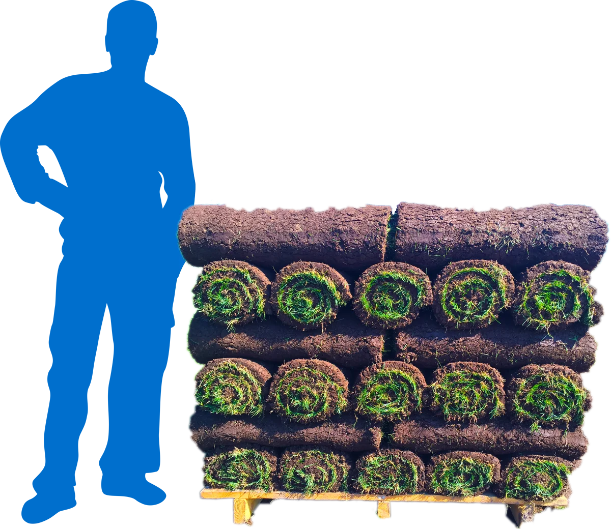 Fescue 500 Sq. Ft. Sod Pallet