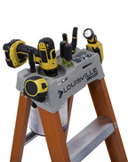 Louisville Ladder 6 - Foot Fiberglass Step Ladder, 300 - Pound Load Capacity, Type IA, FS1506