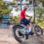 Electric Bike for Adults 26'', 1000W E - Mountain Bike 48V 30/20ah UL2849 Removable Battery, Fat Tire Ebike up to