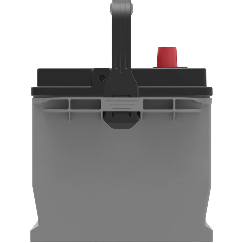 Everstart Platinum AGM Automotive Battery, Group Size 65 12 Volt, 750 CCA