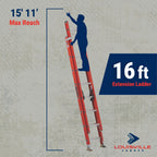 Louisville Ladder 16 - Foot Fiberglass Extension Ladder, 300 - Pound Load Capacity, Type IA, FE3216