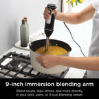 Ninja 750W Blender, Black